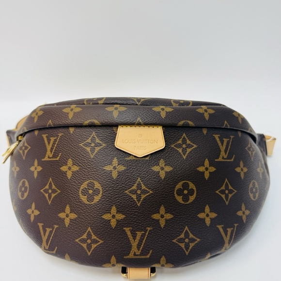 LOUIS VUITTON BUMBAG - Picture 1 of 8